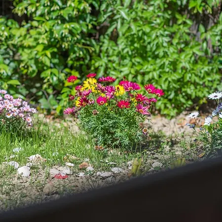 Hébergement de vacances Popi On The Of Agios Gordios *